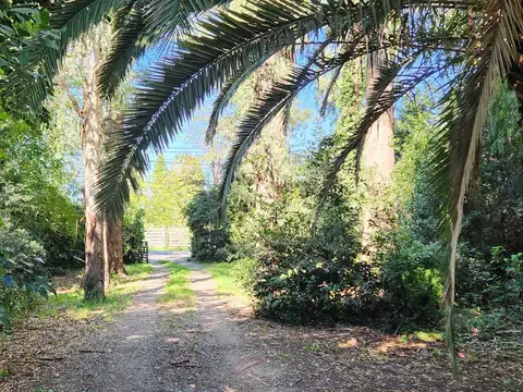 Terreno en Venta 524  mts Fondo
