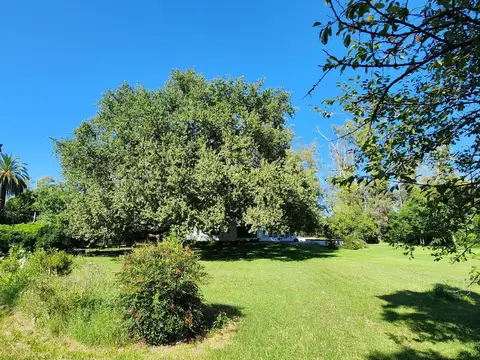 Terreno en Venta en Ingeniero Maschwitz, USD 1.900.000