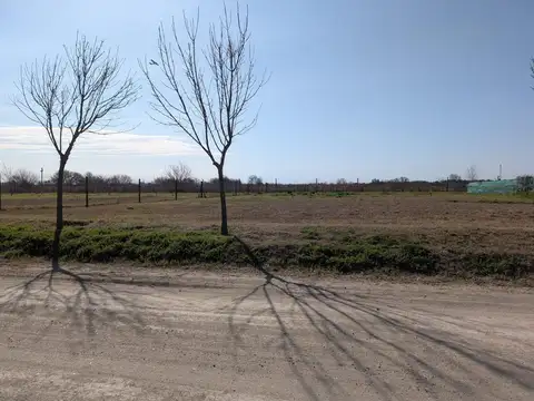 Terreno en Venta en Camino A San Carlos, USD 51.000