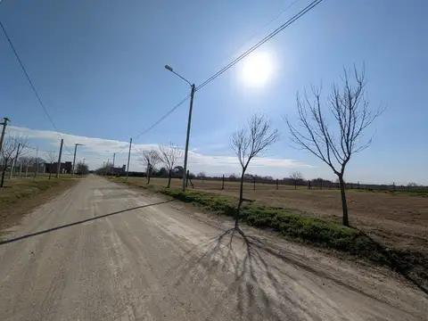 Terreno en Venta de 1650,0 m2