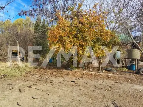 VENTA CHACRA APTA LOTEO , CON CASA , CENTENARIO