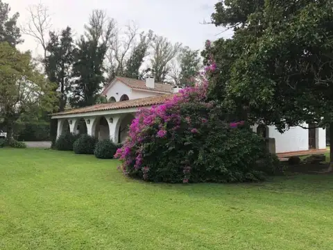 Gustavo Flaubert 500