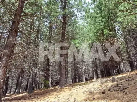 Terreno en Venta en San Martin de los Andes, USD 44.290