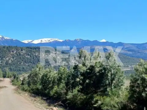 Ruta Nacional 40 km 2226