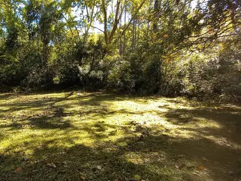 Rio / Arroyo La Horca 100