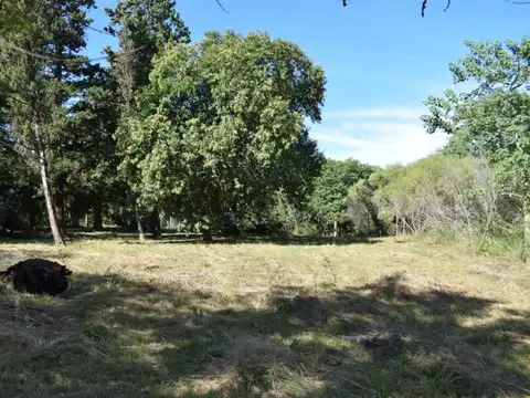 Terreno en Venta de 3565,0 m2