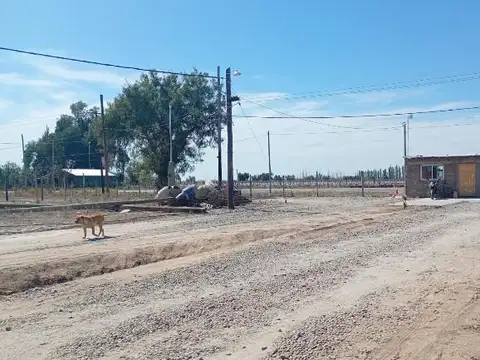 Terreno en Venta 50  mts Fondo