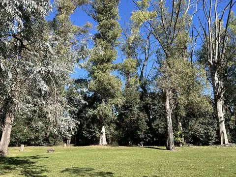 Lote arbolado en La Bota Benavidez, Tigre