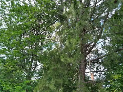 Lote en venta en Barrio Septiembre-MAROTO PROPIEDADES