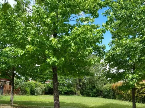 Terreno en Venta en Septiembre, USD 160.000