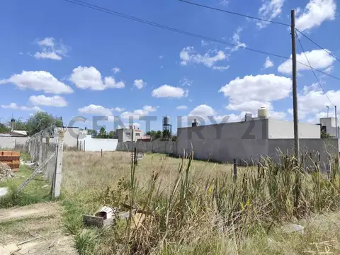 Terreno en Venta 32  mts Fondo