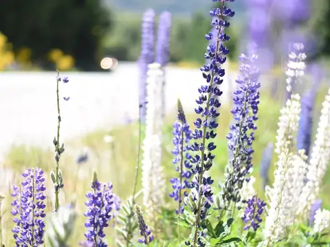 Terreno en Venta 20  mts Frente