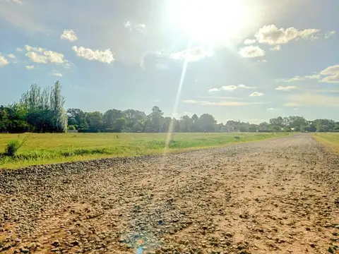 Terreno en Venta 37  mts Fondo
