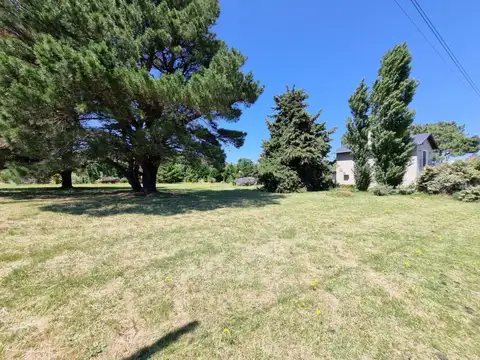 Terreno - Venta - Argentina, Miramar - Avenida copetonas 100