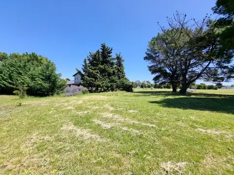 Terreno - Venta - Argentina, Miramar - Avenida copetonas 100