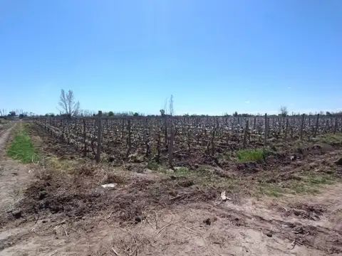 Terreno en Venta en Nueva California, USD 60.000