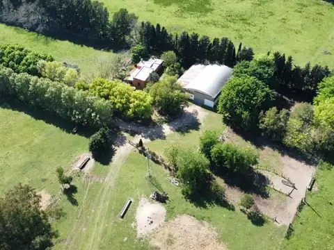 VENTA CAMPO 155 HECTAREAS PLOMER SOBRE RUTA 6