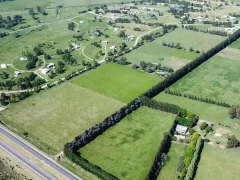 VENTA CAMPO 155 HECTAREAS PLOMER SOBRE RUTA 6