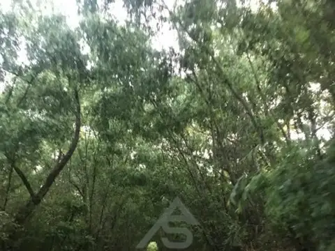 Terreno en Venta de 400000,0 m2