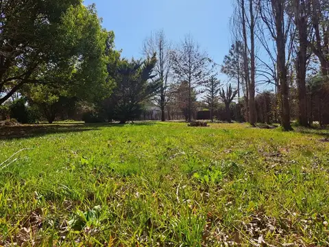 Independencia (villa Adriana)
