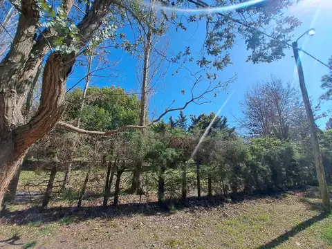 Terreno en Venta de 600,0 m2