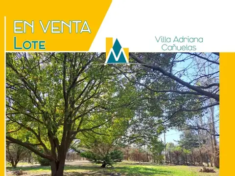 Dos amplios lotes con hermosa arboleda