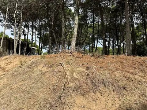 Ruta Provincial 11 300