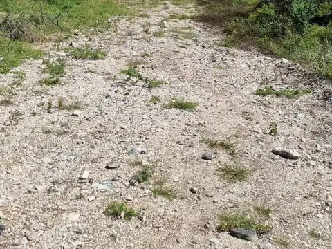 Terreno en Venta 40  mts Fondo