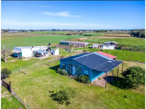 ALQUILER 2 CASAS Y CAMPO 3.7 HÁS TOTORAL DEL SAUCE