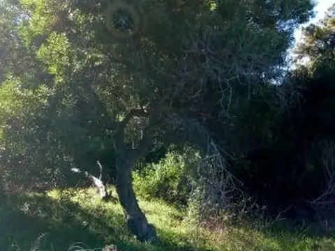 Terreno en Venta de 475,0 m2
