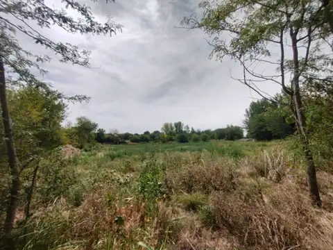 Terreno en Alquiler de 4000,0 m2