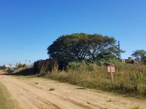 SIMON, VICTORINO 100