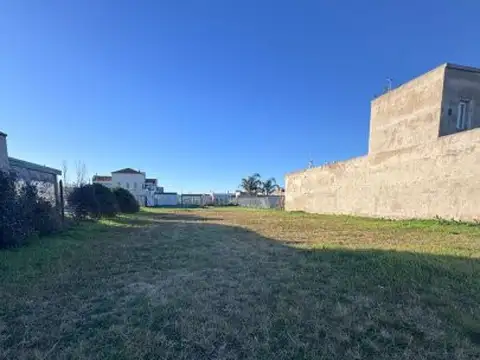 Rodriguez y la tradicion