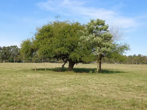 Venta lote 250 m2 en "Solares de Korn" s/ expensas