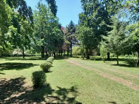 Terreno 9286m2 - Pilar Centro. CR1. 3 Casas. Gran Casa Quint