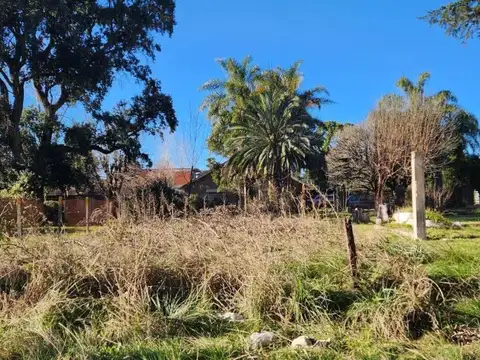 Las Araucarias e/ 5ta avenida y Los Sauces