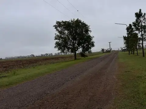 Ruta Provincial 80S