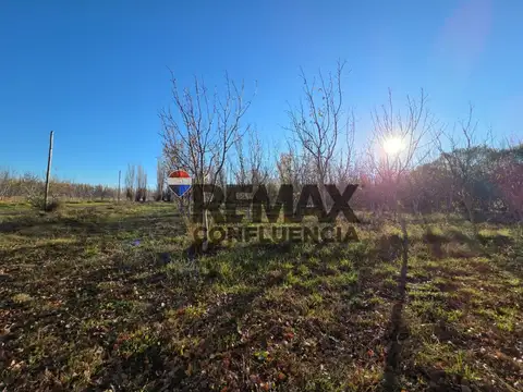 CHACRA 13HA A METROS DE LA RUTA - SARGENTO VIDAL