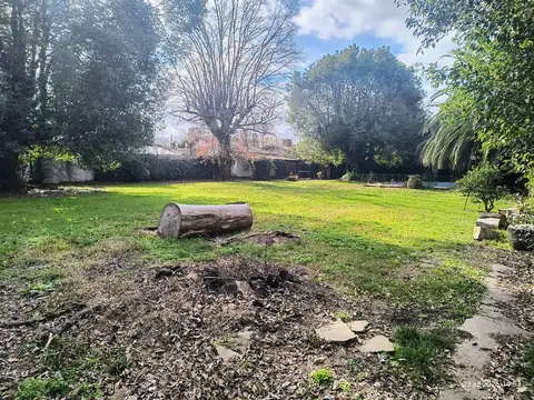 Los Aromos al 500