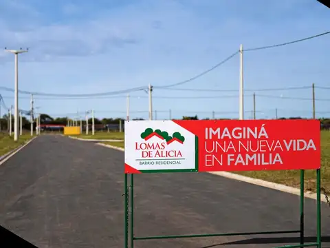Molinos Y Arados