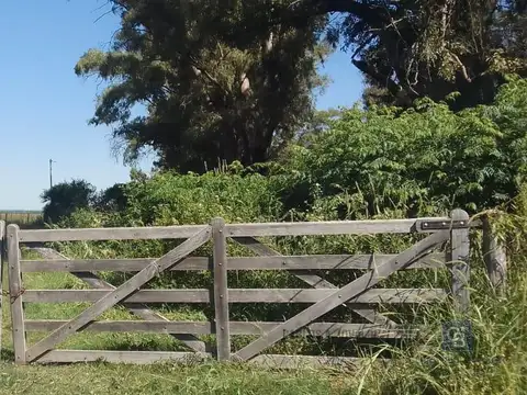 Campo Mixto 221 Ha Agrícola Ganadero - San Justo Santa Fe - Excelente Inversión