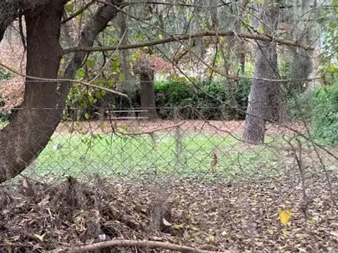 Terreno en Venta 36  mts Fondo