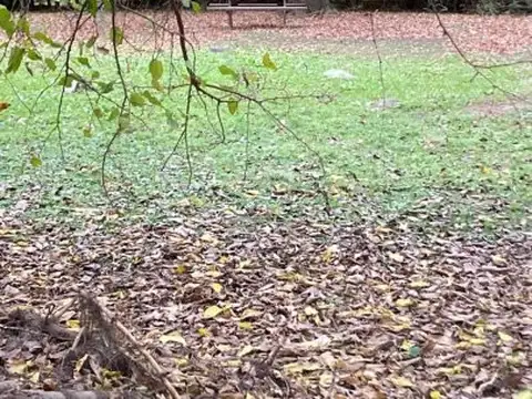 RUTA 9 Y GUEMES , Piso No definido