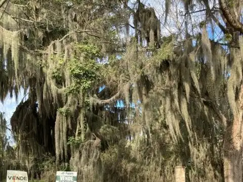 Terreno en Venta de 358,0 m2