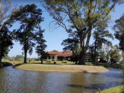 Terreno en Venta 40  mts Fondo
