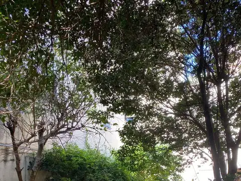 Departamento Monoambiente en Belgrano