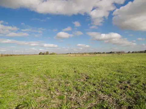 Campo en Capitan Bermudez
