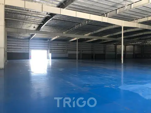 Galpon en Venta en Carlos Spegazzini, USD 4.000.000