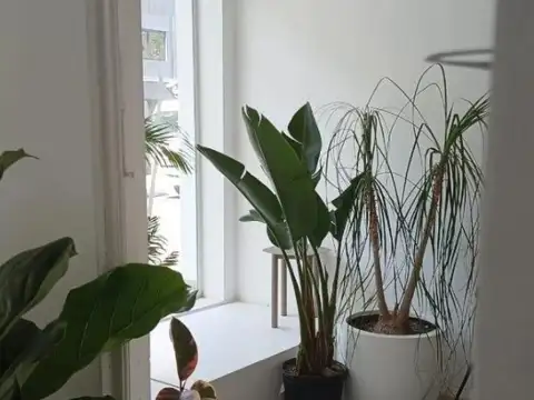 Local en Alquiler Via Pública