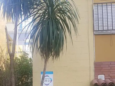 Concolorcorvo al 2700